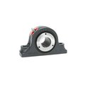 Moline Bearing 2 M3000 2-BOLT PB EXP 19621200